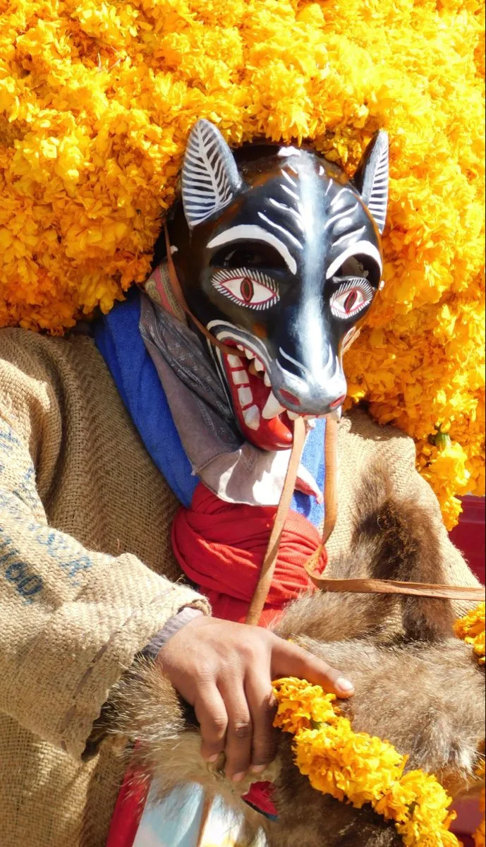 Primer plano de máscara negra de Perro con ojos rasgados rodeada de flores doradas